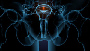 women pelvic floor